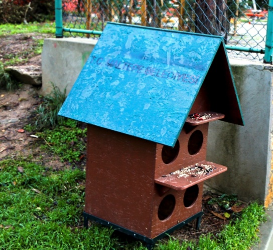 Renkli Kedi, Köpek Kulübeleri