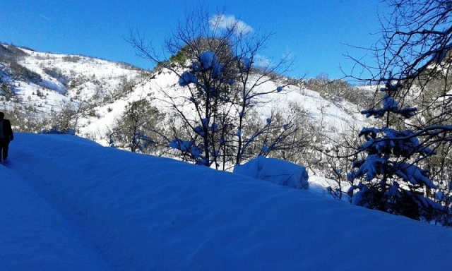 Sinop, Erfelek, Horzum Köyü Kış Manzaraları, 2016