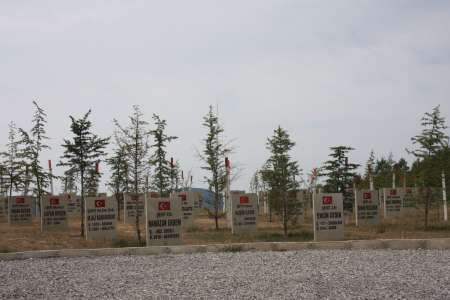 ZONGULDAK ŞEHİTLER ORMANI