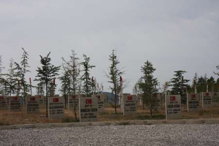 ZONGULDAK ŞEHİTLER ORMANI