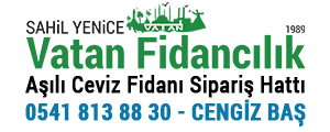Vatan Ceviz Fidancılık