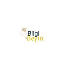 Bilgi Beyin