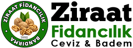 Ziraat Fidancılık