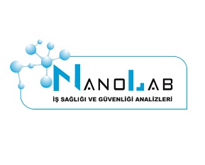 İş Sağlığı ve Güvenliği Analizleri