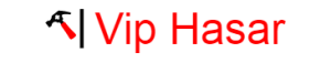 Vip Hasar