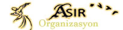 Sünnet Organizasyonu