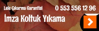 İmza Koltuk Yıkama