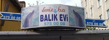 DENİZ KIZI BALIK