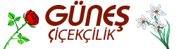 GÜNEŞ ÇİÇEKCİLİK