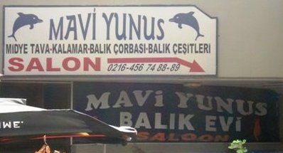 MAVİ YUNUS BALIK EVİ
