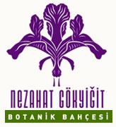 NEZAHAT GÖKYİĞİT BOTANİK BAHÇESİ
