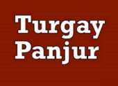 TURGAY PANCUR
