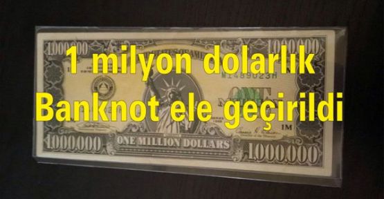 1 milyon dolarlık banknot ele geçirildi