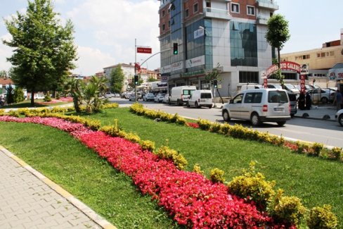 Sultanbeyli Rengarenk