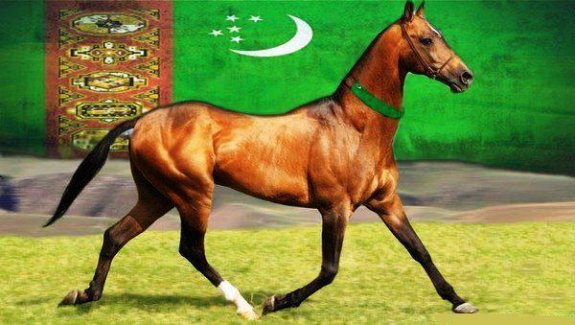 Akhal - Teke Atları, Tarihçesi ve Özellikleri