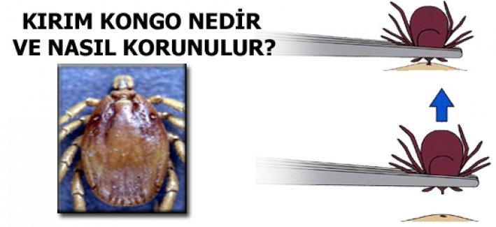 KENEDEN NASIL KORUNURUZ?