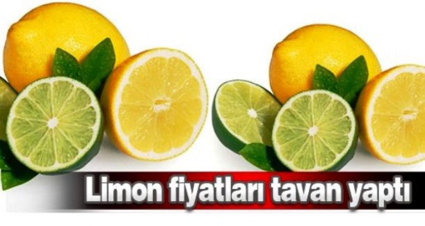 Limon fiyatı tavan yaptı