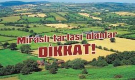 Miraslı tarlası olanlar dikkat!