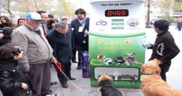 Sokak hayvanları için geri dönüşüm üniteleri