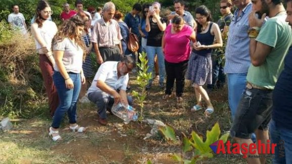 Suruç şehitleri çınar ağacında yaşayacak