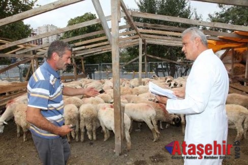 Ataşehir’de kurban kesim yerleri denetleniyor