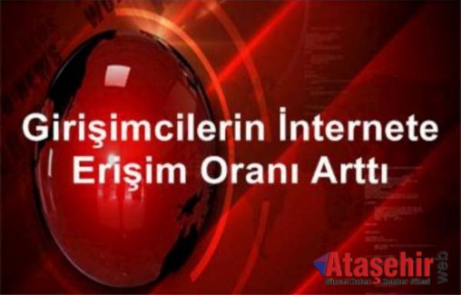 Girişimlerde Bilişim Teknolojileri Kullanım Araştırması, 2015