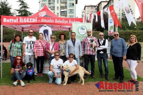 Ataşehir’de hayvanseverler biraraya geldi