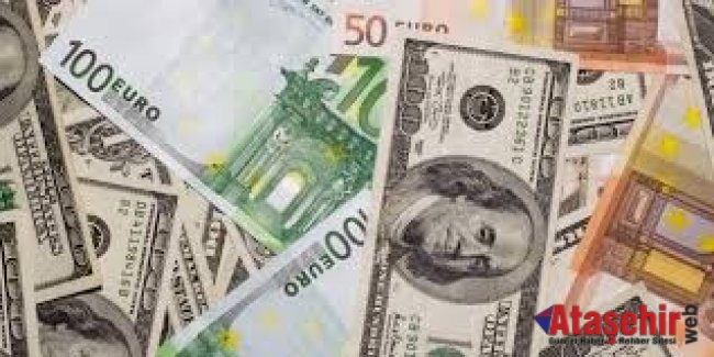 Aylık en yüksek reel getiri Euro’da gerçekleşti