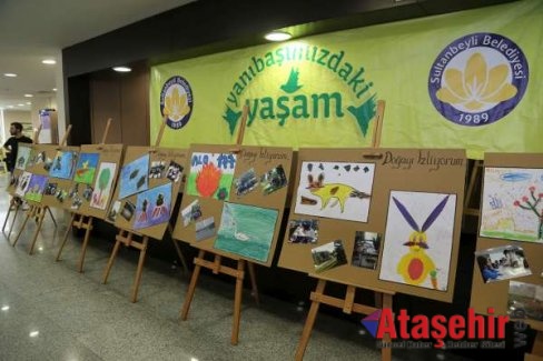 Yanıbaşımızdaki Yaşam Projesi Meyvesini Verdi