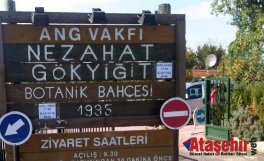 Ataşehir'de Betona İnat Doğal Hayat!