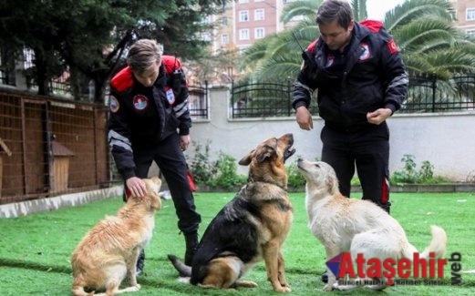 Maltepe’nin yeni melekleri görev başında