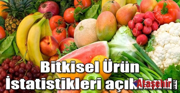 Bitkisel Ürünler İstatistikleri