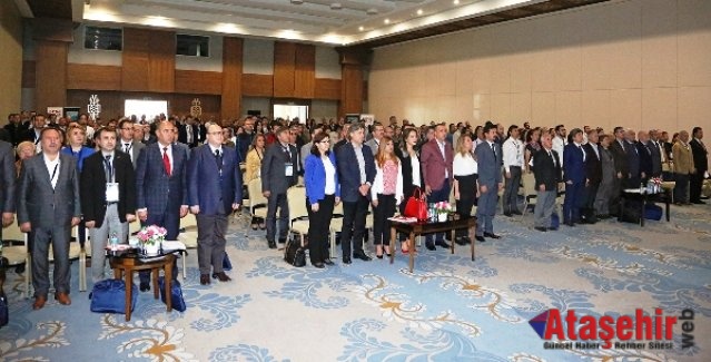 1. Sokak Hayvanları Refahı Kongresi Ataşehir’de Yapıldı