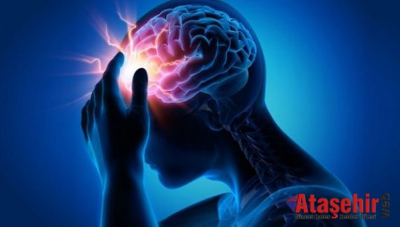 Beyin araştırmaları sadece tıp dünyasını ilgilendirmiyor!