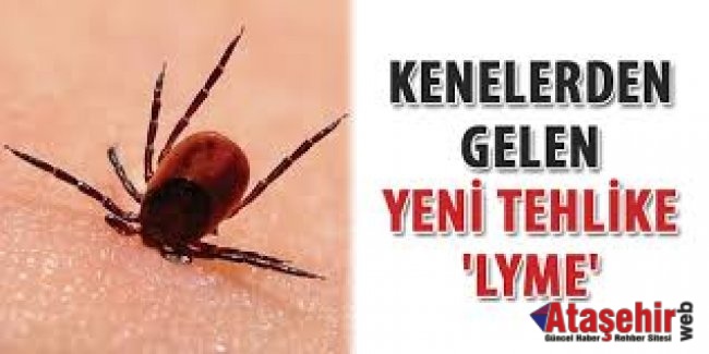 Kene Isırığı ile Bulaşan LYME