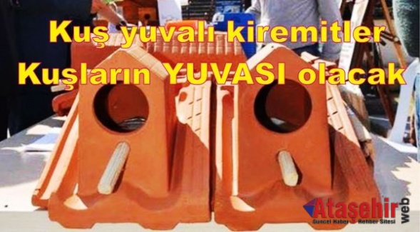 Kuş yuvalı kiremitlerle Kuşların yuvası olacak