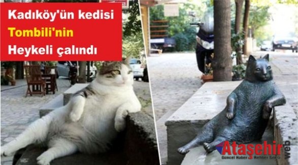 Kadıköy'ün kedisi 'Tombili'nin heykeli çalındı