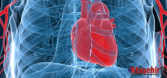 KALP HASTALARI İÇİN CHECK-UP NASIL YAPILMALI?