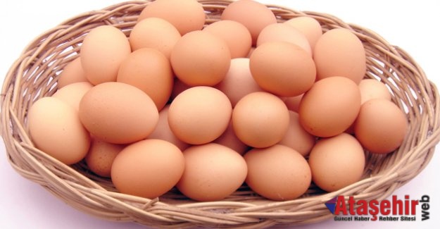 Yumurta Üreticisinin yüzünü güldürdü