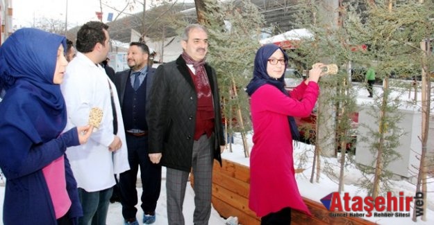 Minik Kalpler  Sokak Hayvanları için atıyor