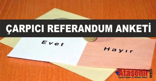 ÇARPICI REFERANDUM ANKETİ