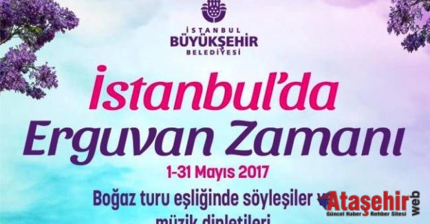 İstanbul'da Erguvan zamanı