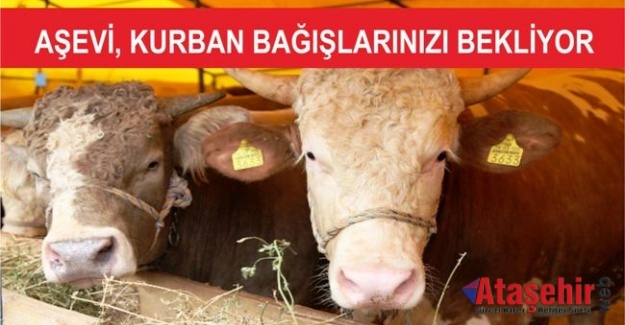 ATAŞEHİR AŞEVİ, KURBAN BAĞIŞLARINIZI BEKLİYOR