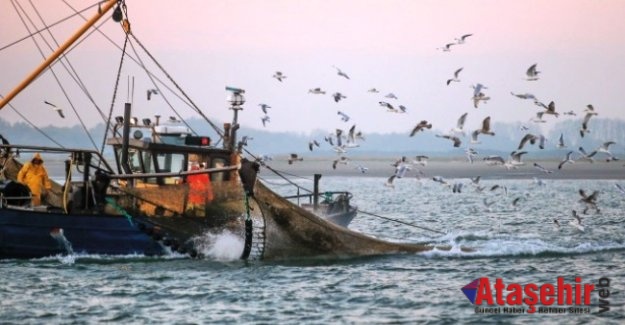 Balıkçılar bu gece "vira bismillah" diyecek