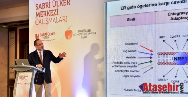 Sabri Ülker Merkezi’nden  kolesterol ile ilgili çığır açan buluş