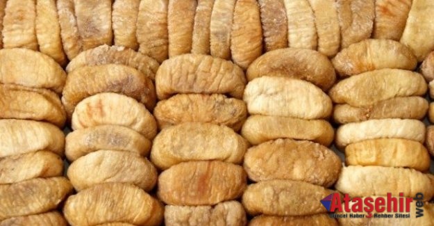 Kuru incir ihracatı 250 milyon doları aştı