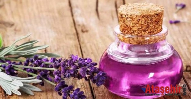 LAVANTA YAĞIYLA BEBEĞİNİZİ SİNEK ISIRIKLARINDAN KORUYUN