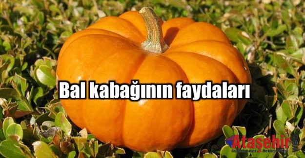 BAL KABAĞI YE GÖZLERİNİ KORU!