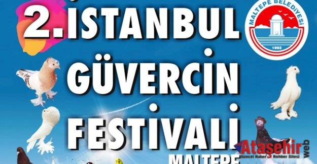 Maltepe’de “Güvercin Festivali”