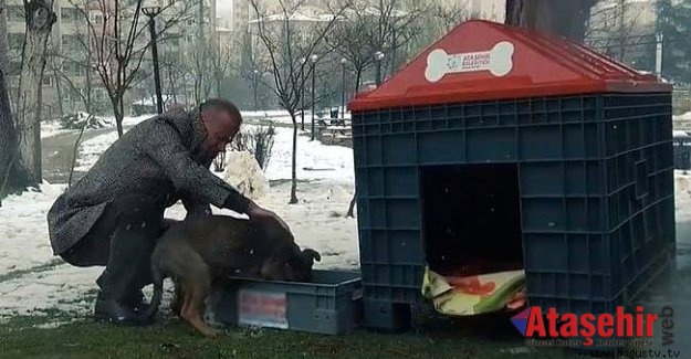 Battal İlgezdi, sokak hayvanlarını unutmadı